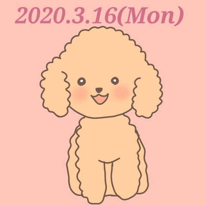3d8ab884 f5e9 4340 9cec a0b28bc0dc2f 1584367019810
