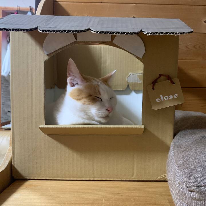 3d8ad938 7d1d 4b1b 8a74 8ea7883e671b 1659269070519