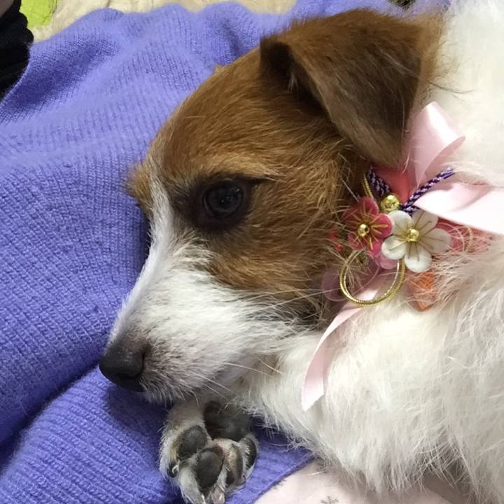 3d8ae011 bc57 4a64 98b2 b3a0608021b9 1546685535929