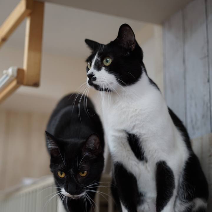 3d8afa21 3535 4196 bece df455feb417e 1552115668361