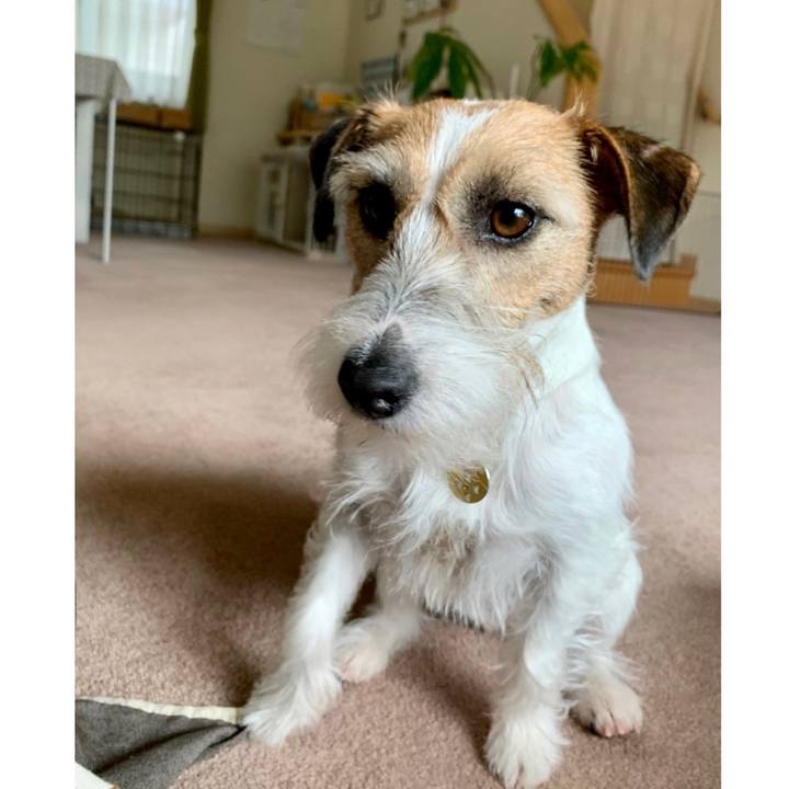 3d8b1b93 e66d 493e 8228 8b237581574a 1618716146846