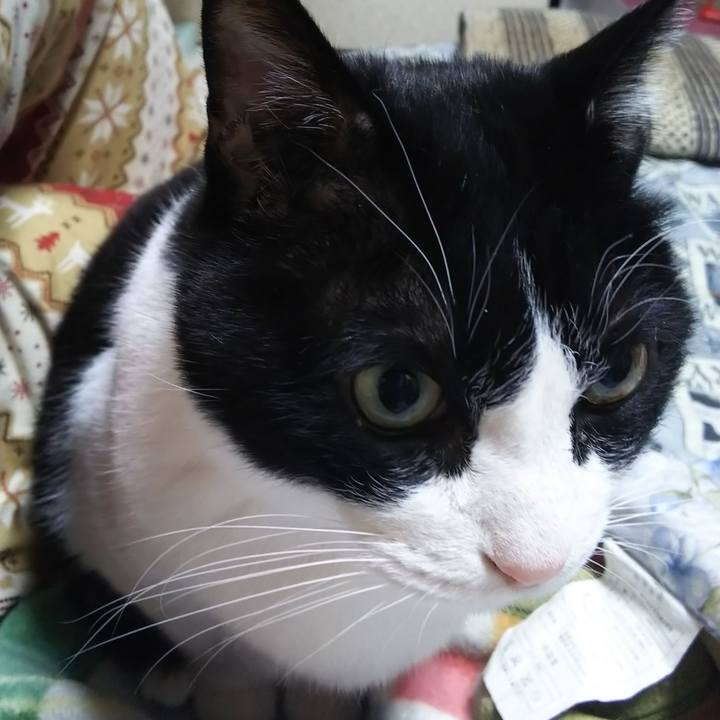 3d8b35d1 3cf0 4bb6 86d0 cf91d2af09e1 1580162164375