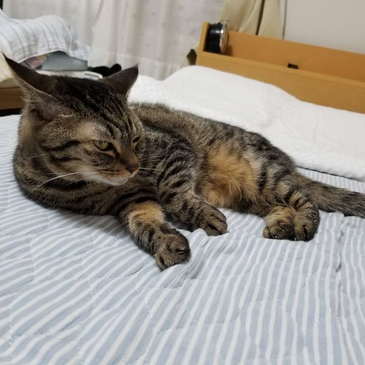 3d8b3f58 83b5 4c41 824f a3d9d44740bb 1600305207065