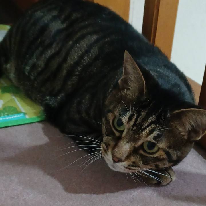 3d8b6eda e0e4 4fe1 afd2 39bbd8596df4 1661679773911