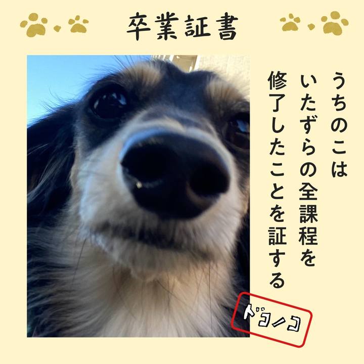 3d8bc282 9cd8 4d93 b18e b7b6d102744d 1771908439443