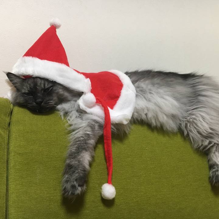 3d8c051f 39ab 4602 b07a ce95bdf4dd69 1513701623814