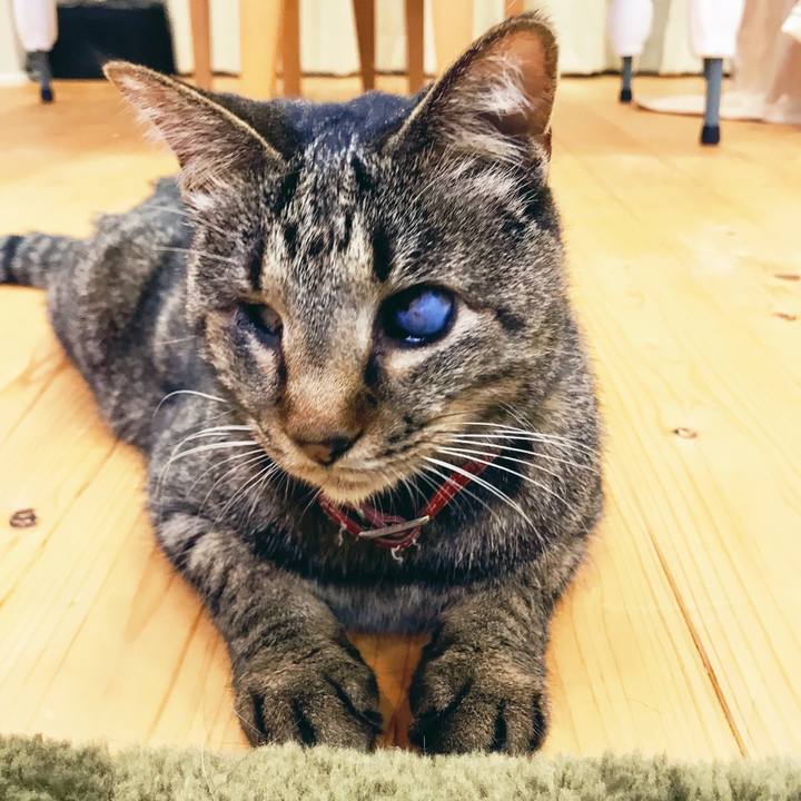 3d8c1dd9 8f93 41d5 9e40 049b1b4eeb05 1527487380823