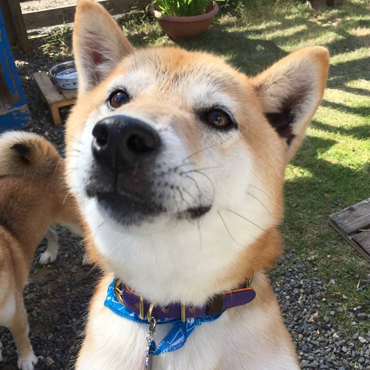 3d8c24a6 8a1c 4add 9f3f 6dc8524e2166 1573993415785