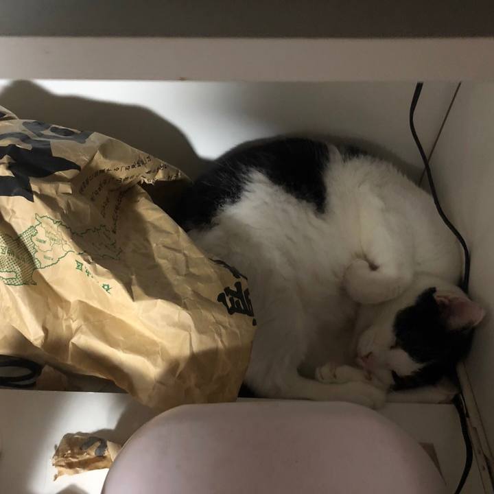 3d8c4828 cb91 4e35 b21d 15e9452953e6 1568633222180