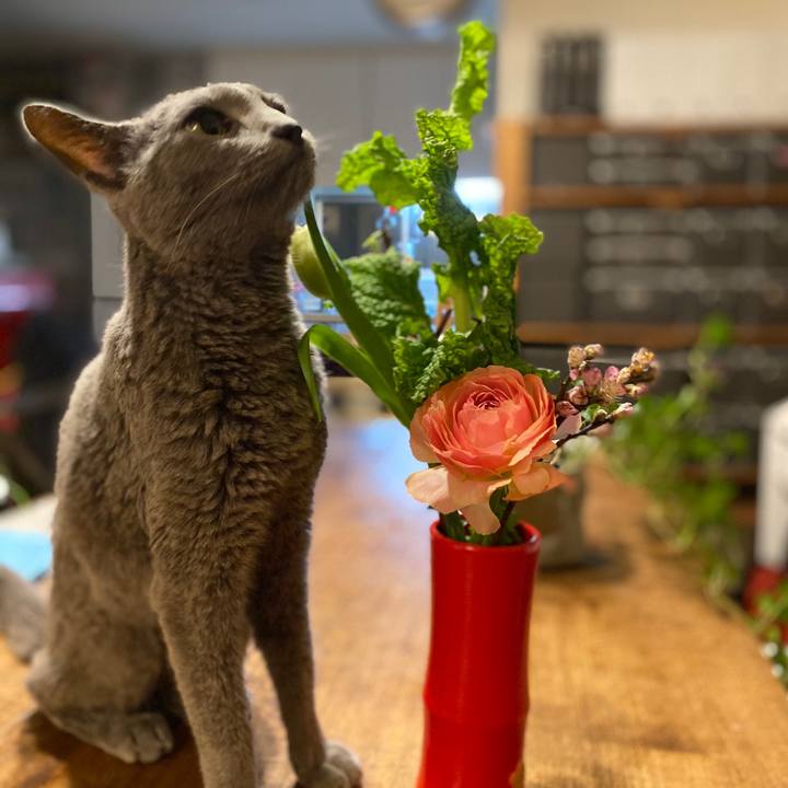 3d8ca55e 8615 4baf 8bf2 cda9e4a290ce 1582445973859