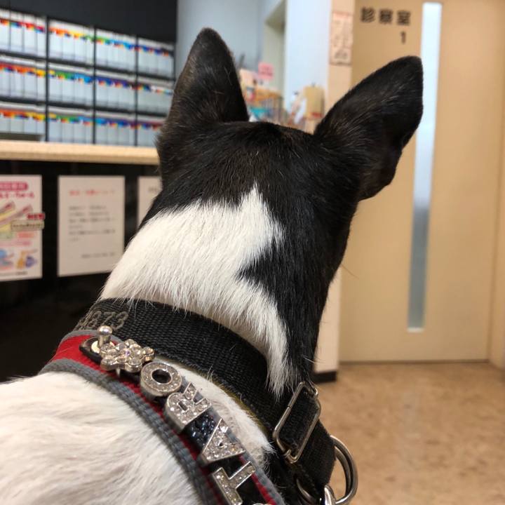 3d8cc86c 51dd 44c8 815f cb15eb6f5f8e 1539345172349