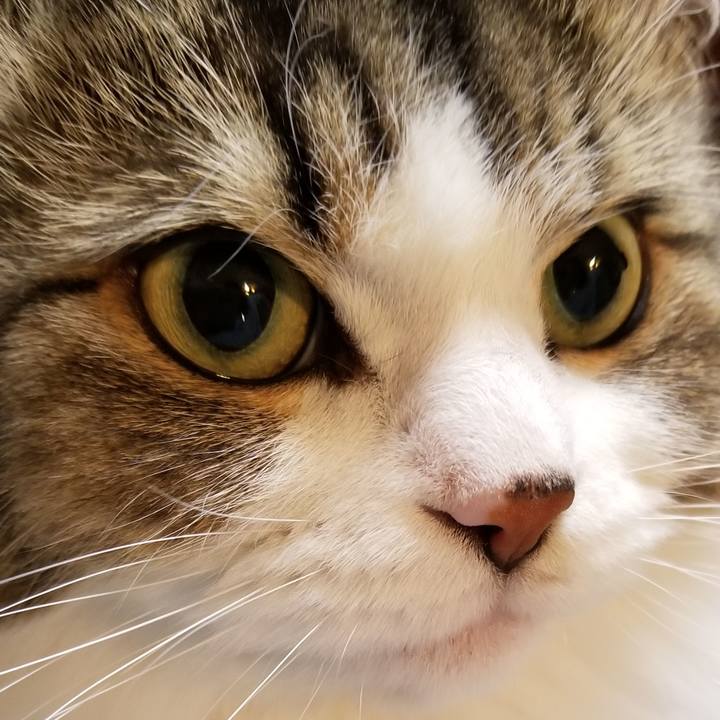 3d8cdc41 d60f 4c9f 9afc f729283b93f3 1547891616092