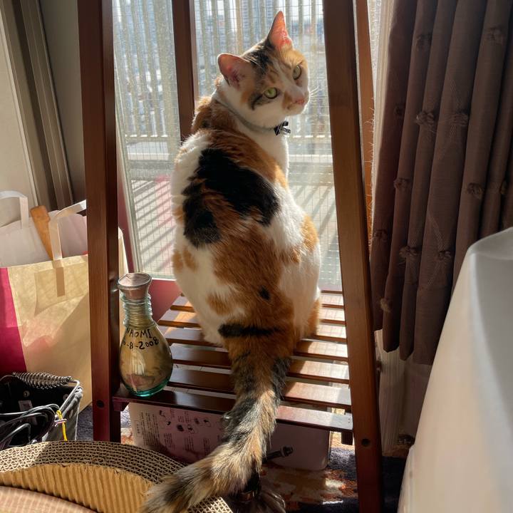 3d8cec6d 3878 4b7c b89f a079f02934c2 1682144428731