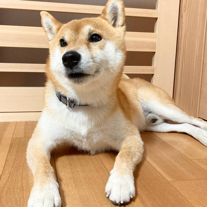 3d8d04be 1ae6 4c6d 8eaa dba407d14416 1685090236637