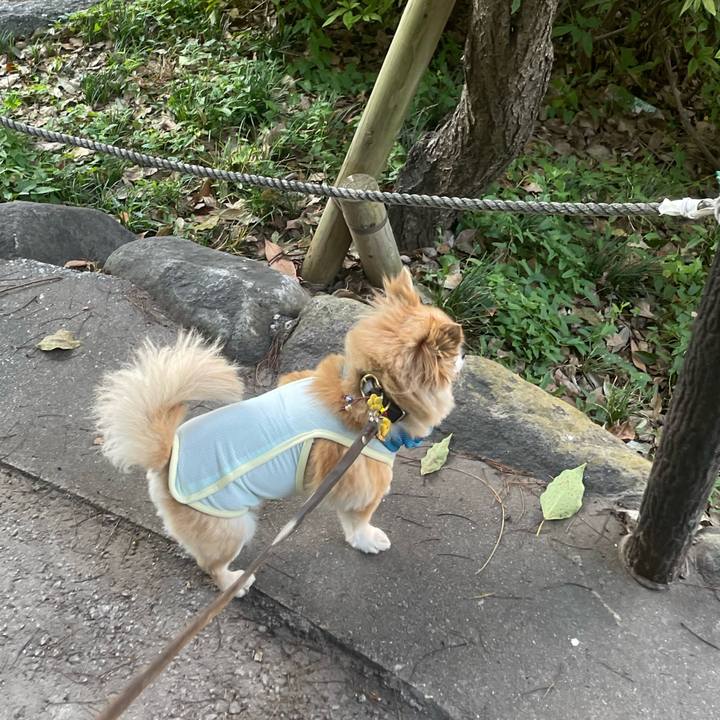 3d8d0add b956 4e18 8610 8f07463d7055 1753453837981