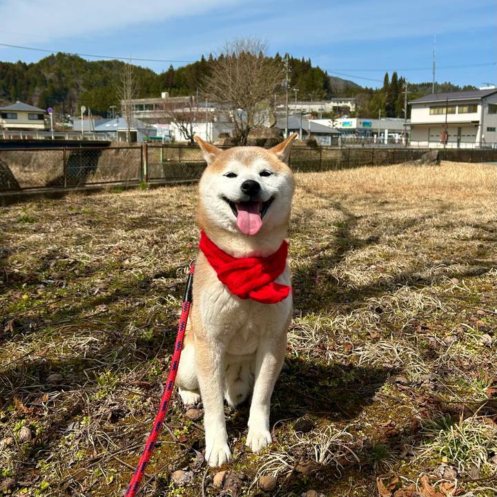 3d8d0fab 93a7 4549 971e ada8540529ba 1741949515922