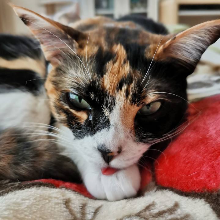 3d8d1940 c28d 4c15 a60f 3217b999f1db 1679544749124