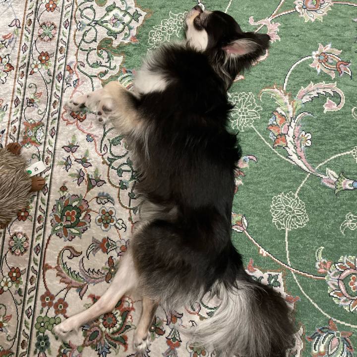 3d8d29ef 1b8a 4d93 a6cc 5341cb4d62f5 1660381672195