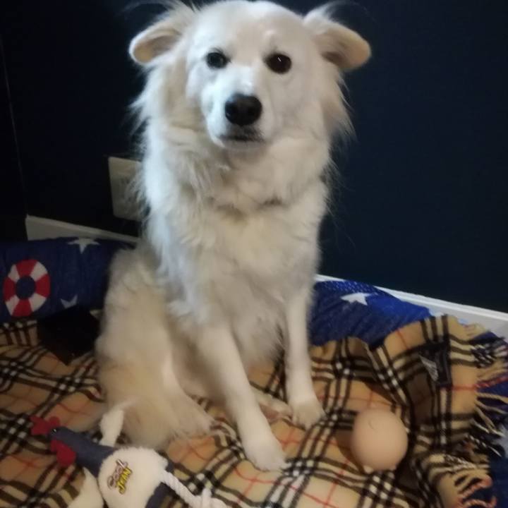 3d8d2e3c 6fb9 407d a2da 48e002a45451 1518339675645