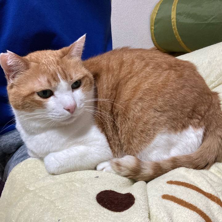 3d8d55db 6092 49b1 bc9f ada812365bea 1764345889616