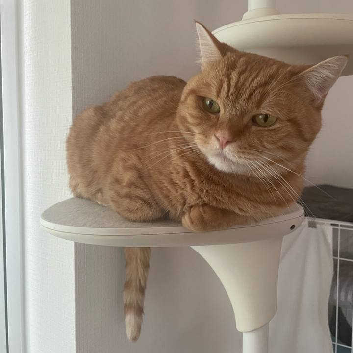 3d8d5a99 ee5d 48e2 bf69 e2ade22750c2 1770430097806