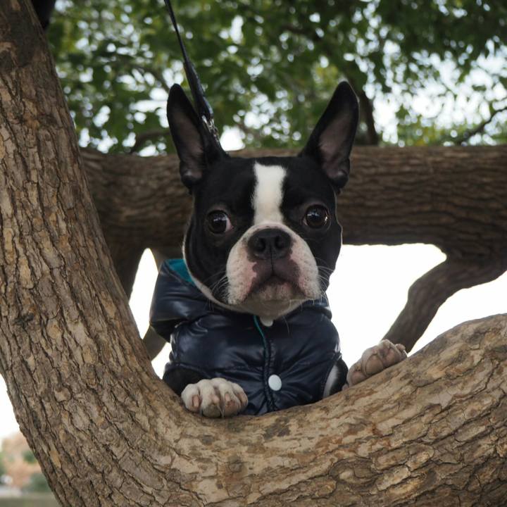 3d8d81d3 6ca0 457b a670 858aa8ec4401 1518866816956