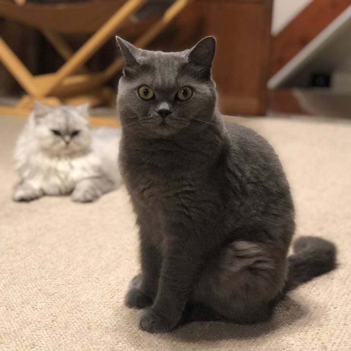 3d8d9257 8c8a 4a35 8d67 f061b032dcd5 1568023421900