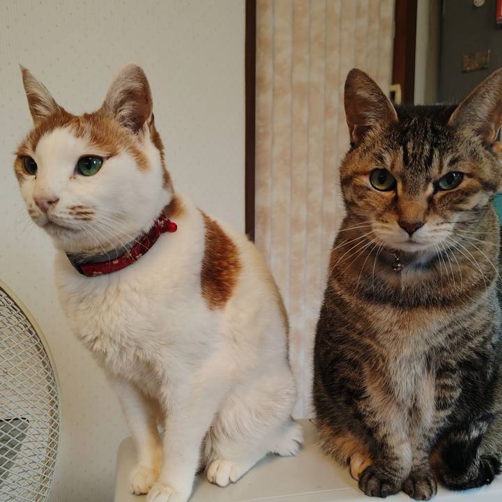 3d8db923 6f1f 4474 9eb6 d9ff7961d40a 1770784364261