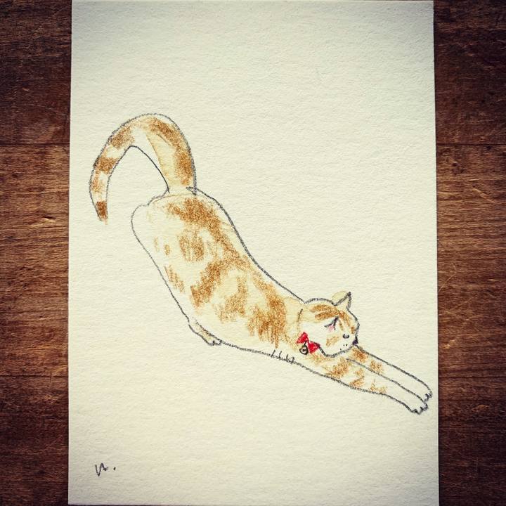 3d8dca7c 1c65 4883 a8e4 457626f7620f 1612665325552