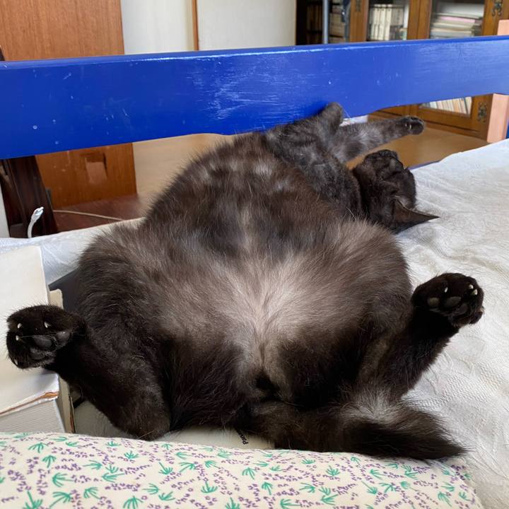 3d8e00aa c24a 4808 98ba c55835a2cf1d 1659071219406