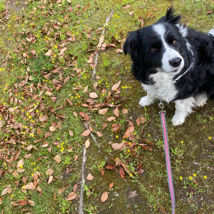 3d8e10ad c746 4dee 9191 84aef155072a 1619052116288