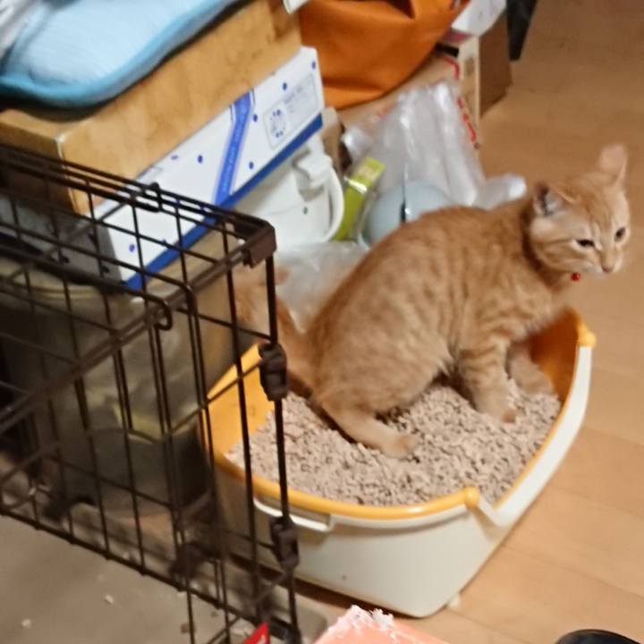 3d8e16e6 ce5e 495b 9dfd b67a04e8dff2 1633342819247