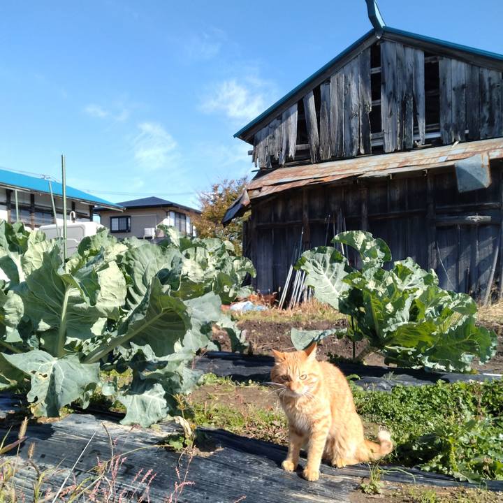 3d8e43a4 d2d2 4c90 a470 ef234dbec7f1 1700035103819