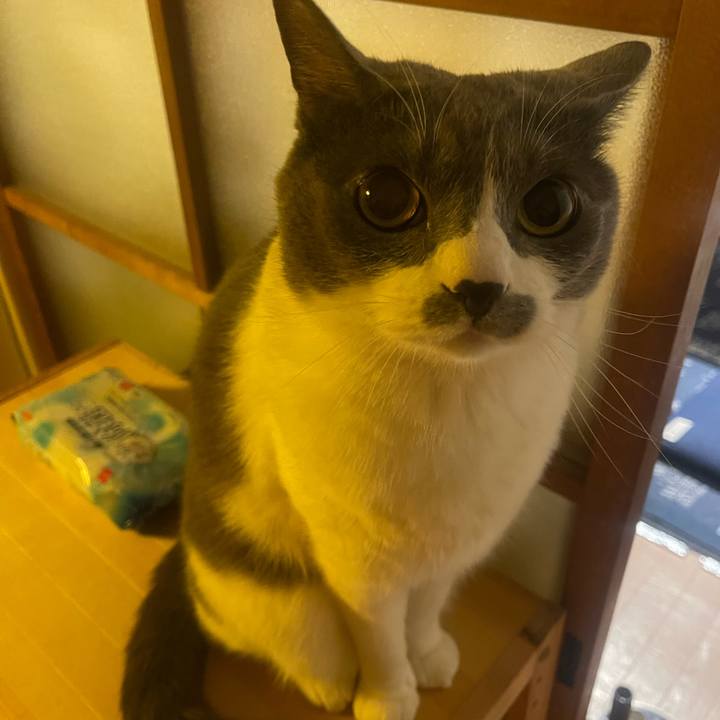 3d8e5703 6764 4a93 ae44 58600bbf64ae 1748952274991