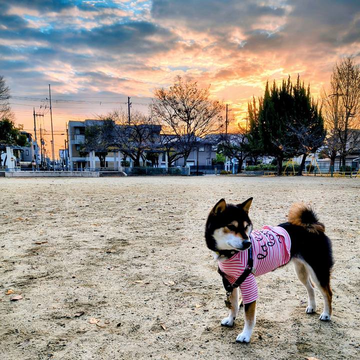 3d8e5d25 95a2 47b3 b34a ba7f4793c0db 1765942145843