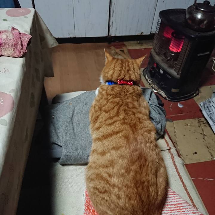 3d8e695d 67b8 4719 93da c704b3c50a45 1576529004835