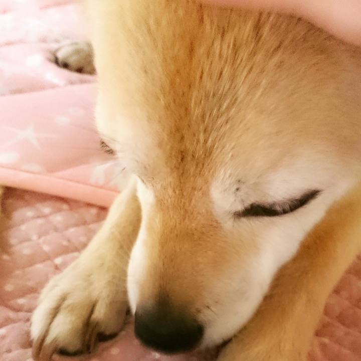 3d8e7779 4943 4c06 afc1 0d218da116d5 1599059616887