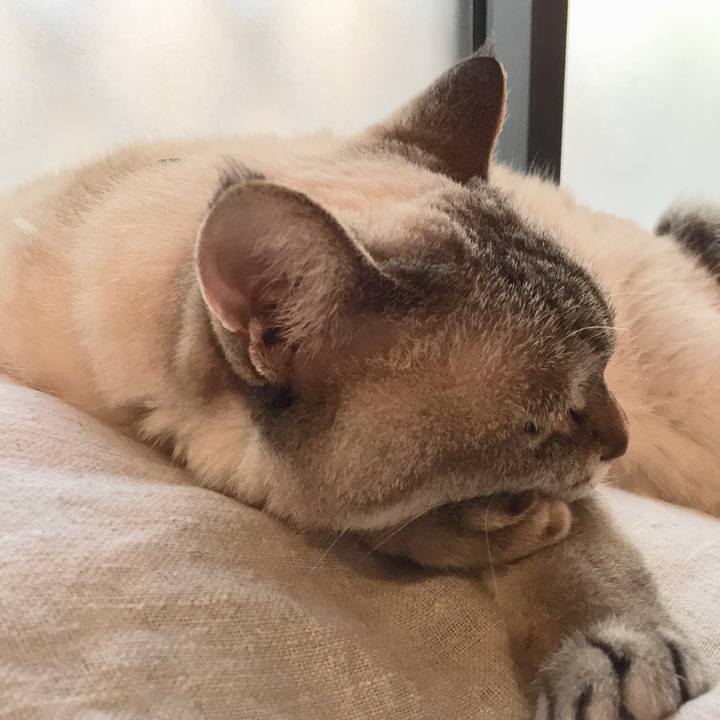 3d8e9808 7833 4c2f 9502 e0548fc733cb 1563271494201