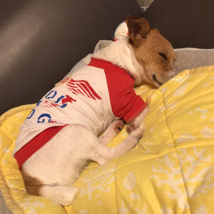 3d8ea21e 53e1 47e0 88d4 a0beb6a6565a 1567949526938