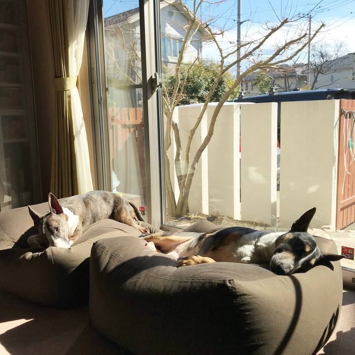 3d8eb29b b68b 4579 8013 a5941a890570 1519965680162