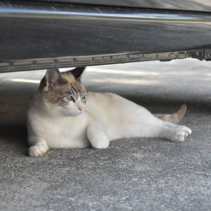 3d8ec324 e1b2 45e7 a36f 3df934c7db27 1526021541516