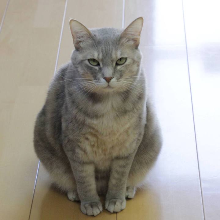 3d8ecdb2 f2f5 4a1b a4cf 55ed00671454 1612928941475