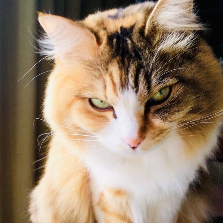 3d8eed3b 1886 4b3d a827 1801cdd40e4b 1555278546511