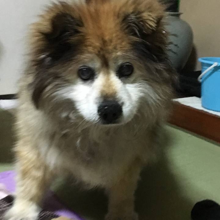 3d8ef447 e9bf 47e7 ab07 b35fa46e6e97 1597569217702