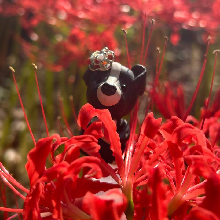 3d8f2123 1f46 44c6 9994 1c26f51102a8 1759052421408