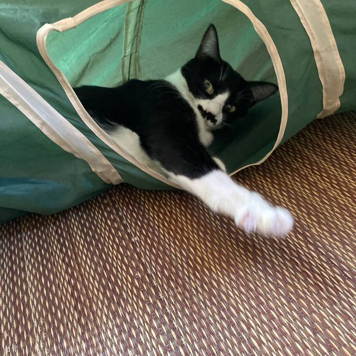 3d8f22ea 8352 492b a2a9 e9dc85cc63b6 1692410347173