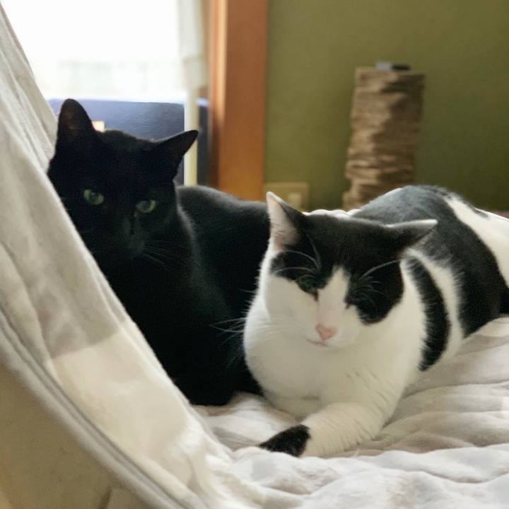 3d8f405b eed4 446a 9677 1baf016d1d3e 1545357183296