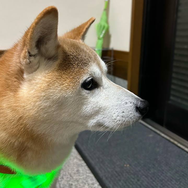 3d8f4610 0104 49ac aaa7 b1cb83766aeb 1733483184073