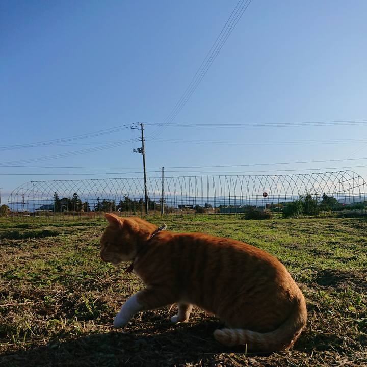 3d8f8486 e46d 4450 9d1b 7582091d74fa 1573367172341