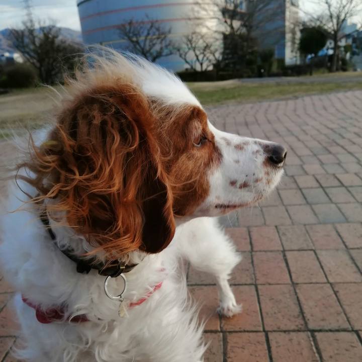 3d8f87d0 776c 4ca8 a409 99246d57387a 1611735435716